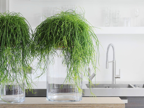 Verkoopstyling