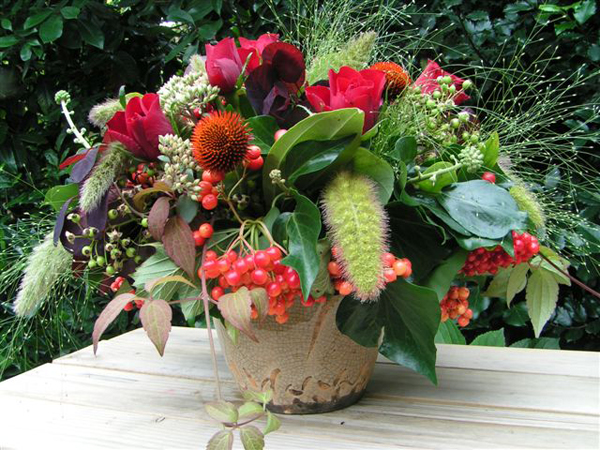 van Gust Groencreaties - Hovenier - gelegenheidsbloemwerk