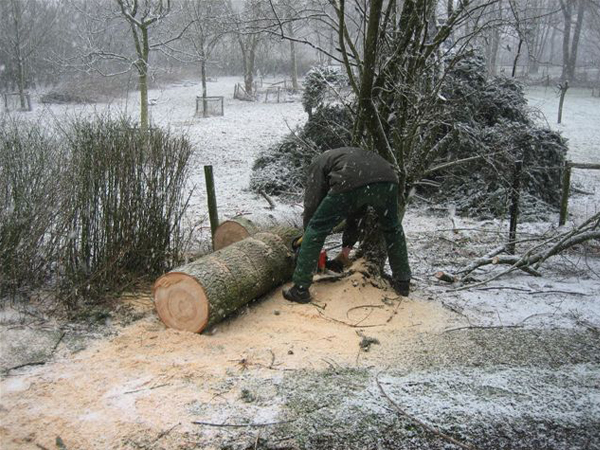 tuinonderhoud